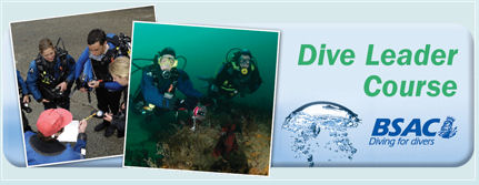 Dive Leader