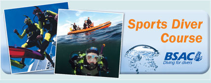 Sports Diver